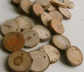 75 Top Drilled Branch Slices 2 to 3 inch 