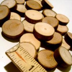 30 Wooden Tree Branch Slices all under an inch