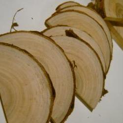 5 Wooden Half Rounds Tree Branch Half Circle Blanks